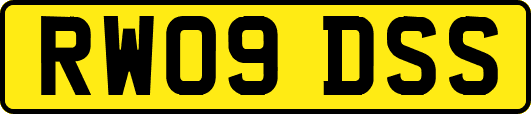 RW09DSS