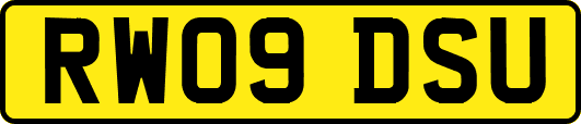 RW09DSU