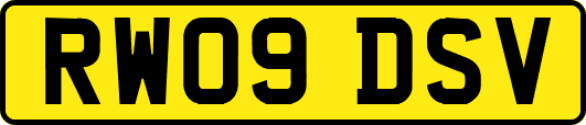 RW09DSV