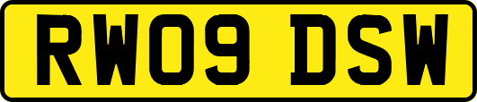 RW09DSW