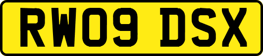 RW09DSX