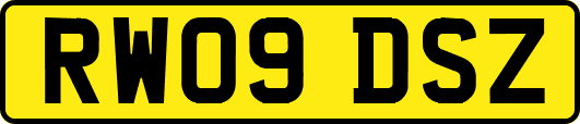 RW09DSZ