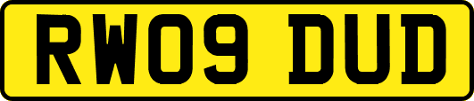 RW09DUD