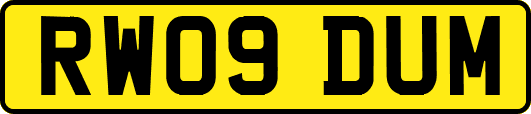 RW09DUM