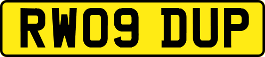 RW09DUP