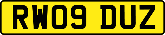 RW09DUZ