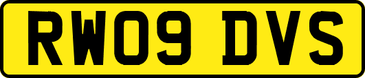RW09DVS
