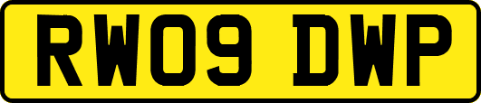 RW09DWP