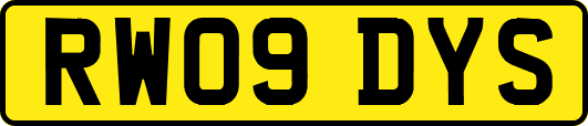 RW09DYS
