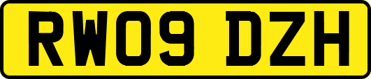 RW09DZH