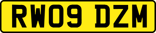 RW09DZM