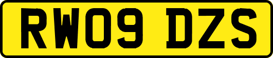 RW09DZS