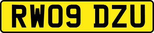 RW09DZU