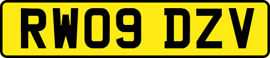 RW09DZV