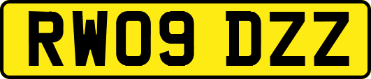 RW09DZZ