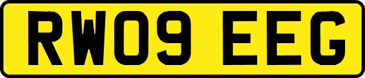 RW09EEG