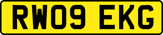 RW09EKG