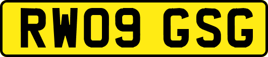 RW09GSG
