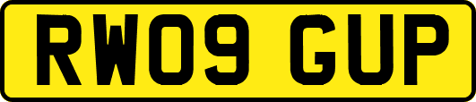 RW09GUP