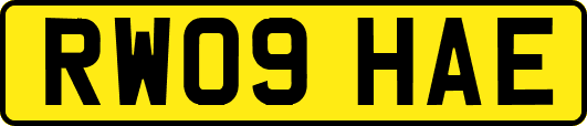 RW09HAE