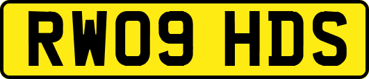 RW09HDS