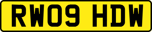 RW09HDW