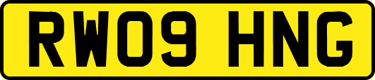 RW09HNG