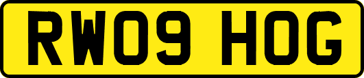 RW09HOG
