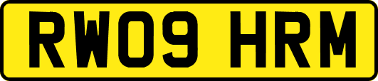 RW09HRM