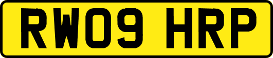 RW09HRP