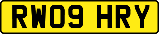 RW09HRY