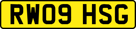 RW09HSG