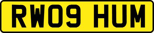 RW09HUM