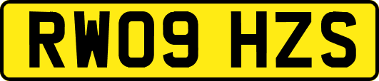 RW09HZS