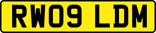 RW09LDM