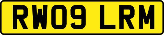 RW09LRM