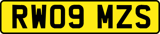 RW09MZS