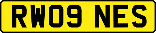 RW09NES