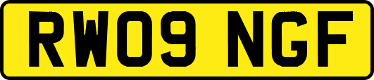RW09NGF