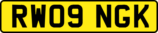 RW09NGK