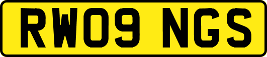 RW09NGS