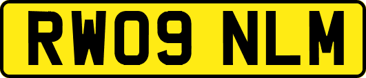 RW09NLM