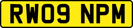 RW09NPM