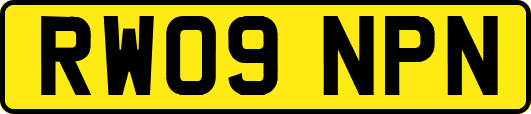 RW09NPN