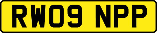 RW09NPP