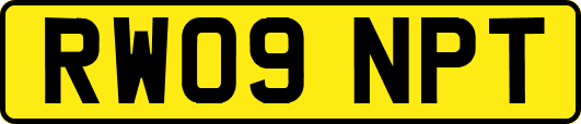 RW09NPT
