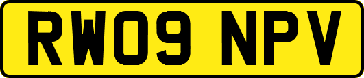 RW09NPV
