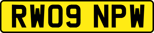 RW09NPW