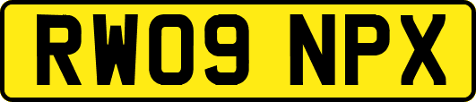 RW09NPX