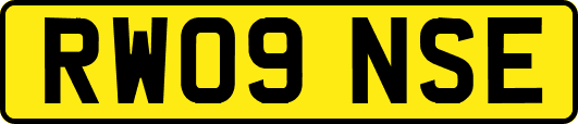 RW09NSE